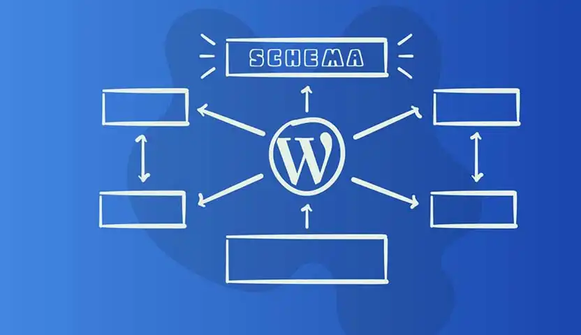 ما هي البيانات المنظمة Schema؟